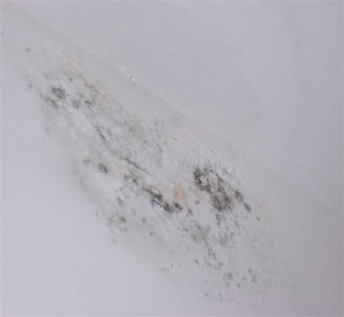 墙面发霉，多半是因为湿气的问题，那么如何除霉？
